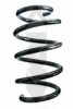 SPIDAN 87011 Coil Spring